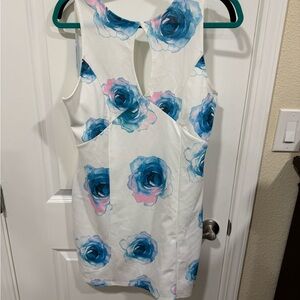 Floral Print Mini Dress - Blue and Pink